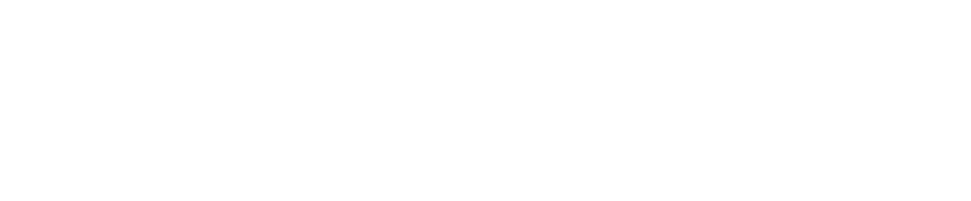 Erireisid
